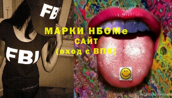 ECSTASY Алзамай
