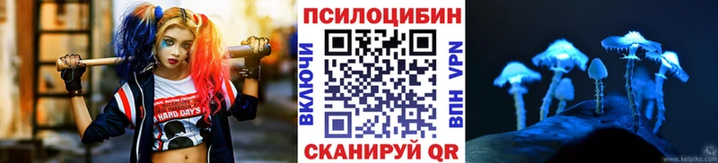 Галлюциногенные грибы мухоморы  хочу наркоту  Астрахань 